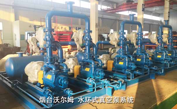 不銹鋼水環式真空泵系統-煙臺沃爾姆 不銹鋼水環式真空泵系統-煙臺沃爾姆